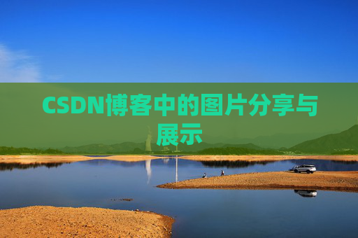 CSDN博客中的图片分享与展示